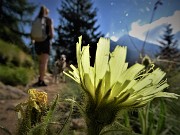 Laghi di Porcile, Passo di Tartano, Cima-Passo di Lemma ad anello (16lu22) - FOTOGALLERY